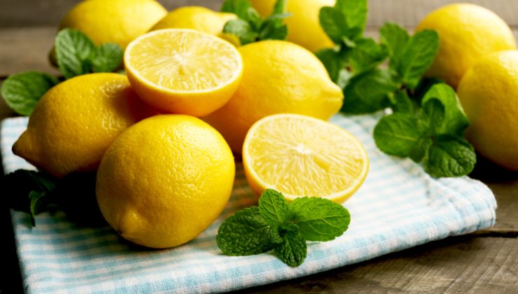 Le foglie di limoni sono salutari per l'organismo