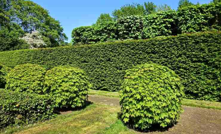 Bonus verde, le caratteristiche dell'agevolazione