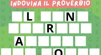 Se ami gli animali, conoscerai senza dubbio questo proverbio: sfida a tempo difficilissima
